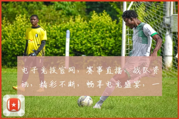 电子竞技官网，赛事直播，战队资讯，精彩不断，畅享电竞盛宴，一网打尽