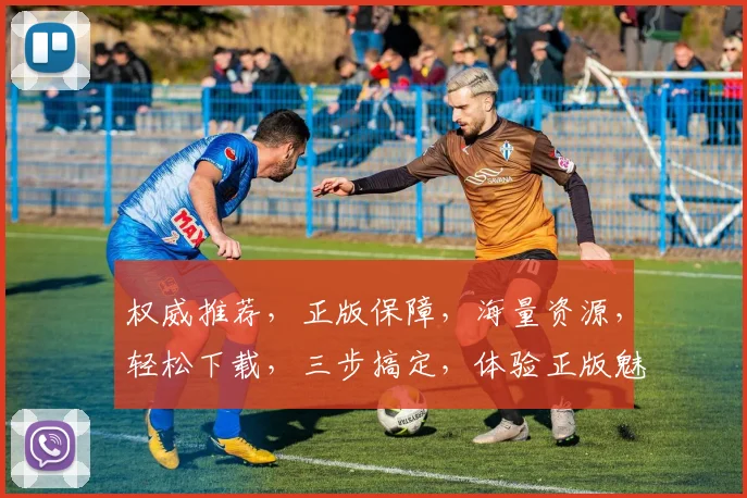 权威推荐，正版保障，海量资源，轻松下载，三步搞定，体验正版魅力，