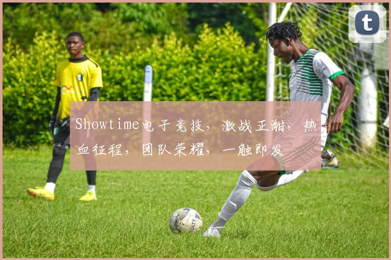 Showtime电子竞技，激战正酣，热血征程，团队荣耀，一触即发