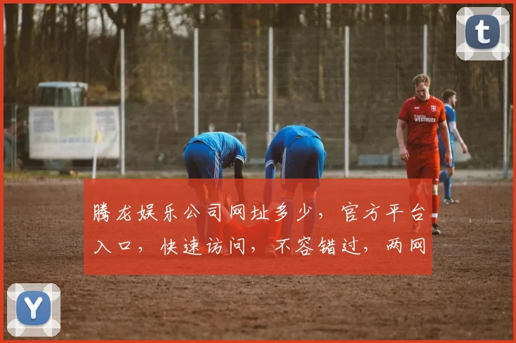 腾龙娱乐公司网址多少，官方平台入口，快速访问，不容错过，两网一址，一网打尽