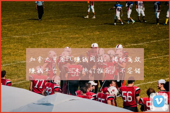 加拿大可用PC赚钱网站，揭秘高效赚钱平台，三大热门推荐，不容错过