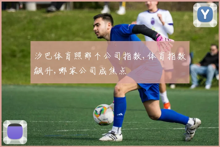 沙巴体育照那个公司指数,体育指数飙升,哪家公司成焦点
